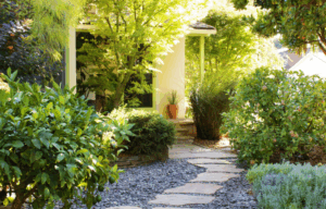 Малі двори без газону: гравійні сади, тераси, контейнерні міксбордери