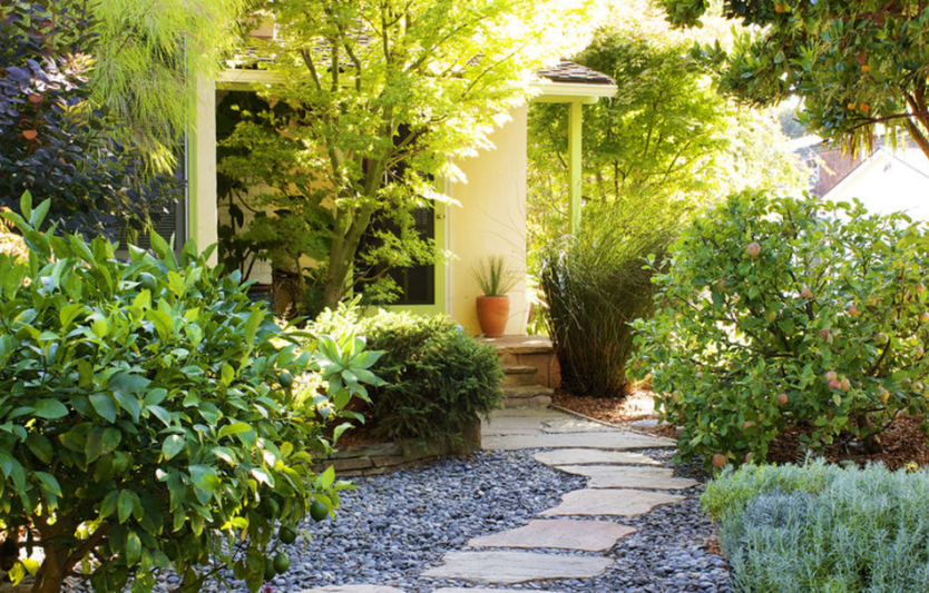 Малі двори без газону: гравійні сади, тераси, контейнерні міксбордери