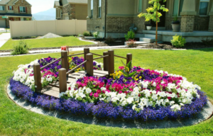 Клумби на подвір’ї своїми руками